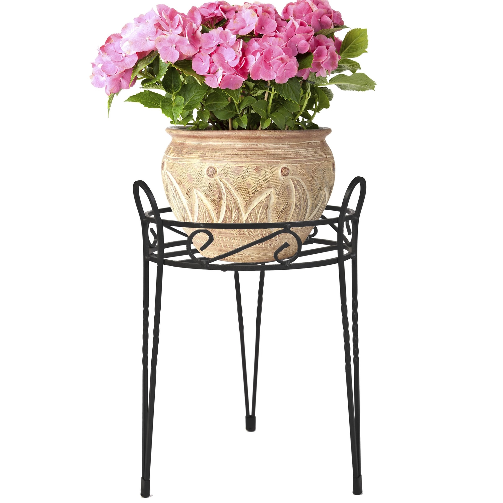 CobraCo Canterbury 15" Black Scroll Top Plant Stand (SCBPS10...