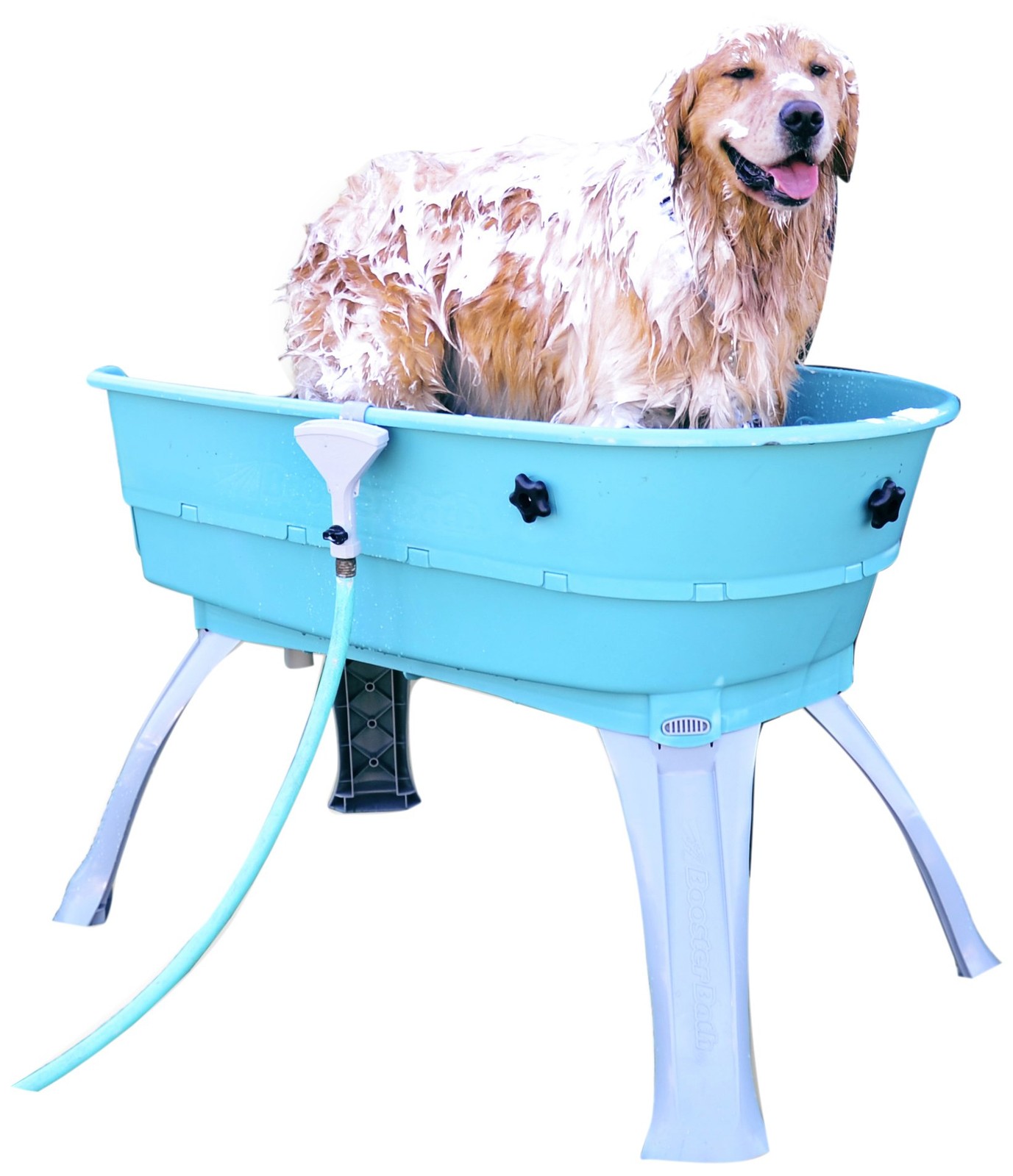 Booster Bath Elevated Dog Bath Center Teal Dimensions: 45" x...