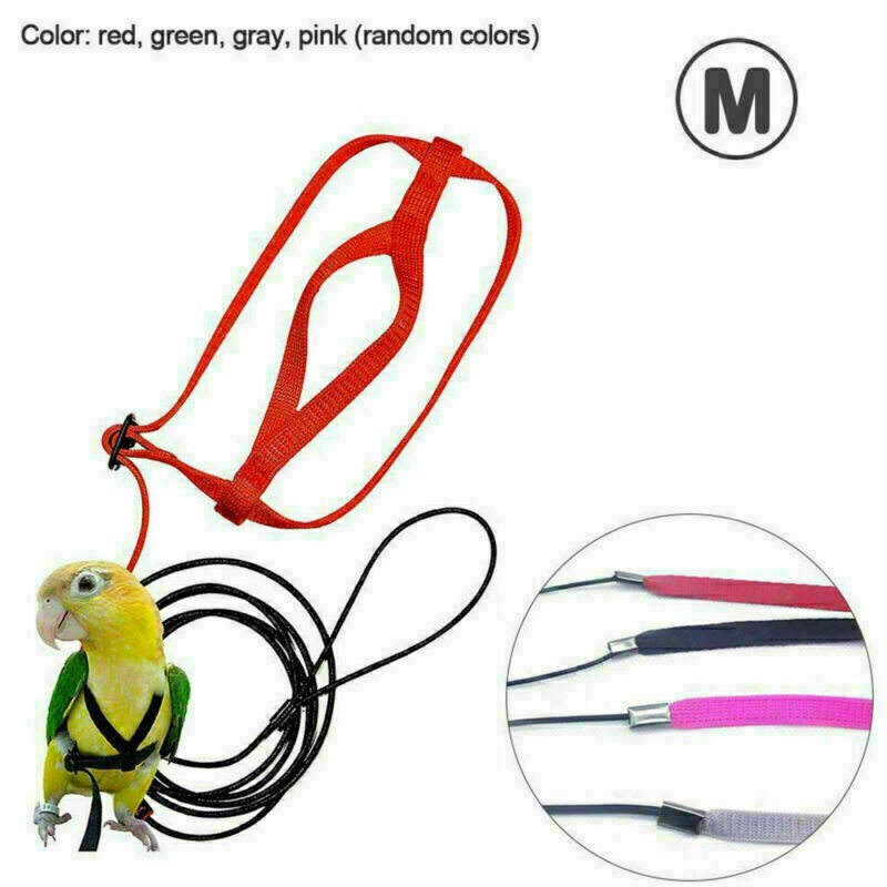 Pet Parrot Bird Harness Leash Flying Training Rope for Cocka...