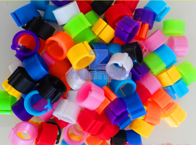 Bird Leg Bands 8mm Pigeon Chicken Parrot Bantam Poultry Ring...