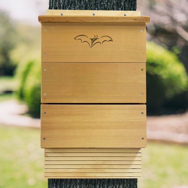 Ozark Bat Company Single Chamber Bat House SE520