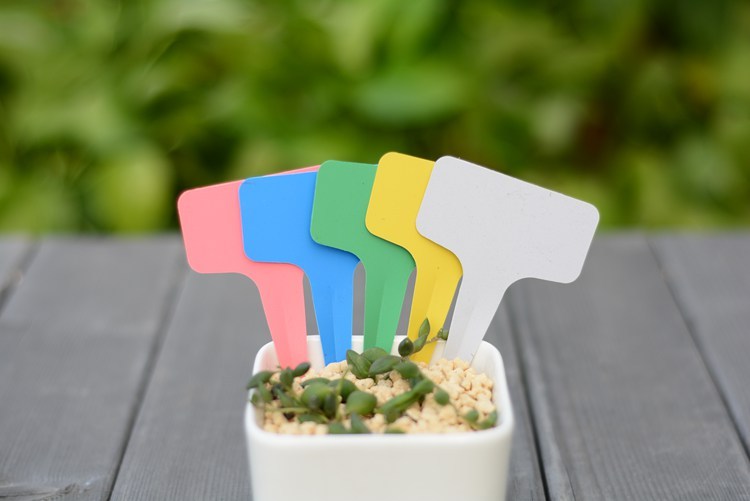 Plastic Plant Tags - 6x10cm T-Type Labels - Nursery Garden M...