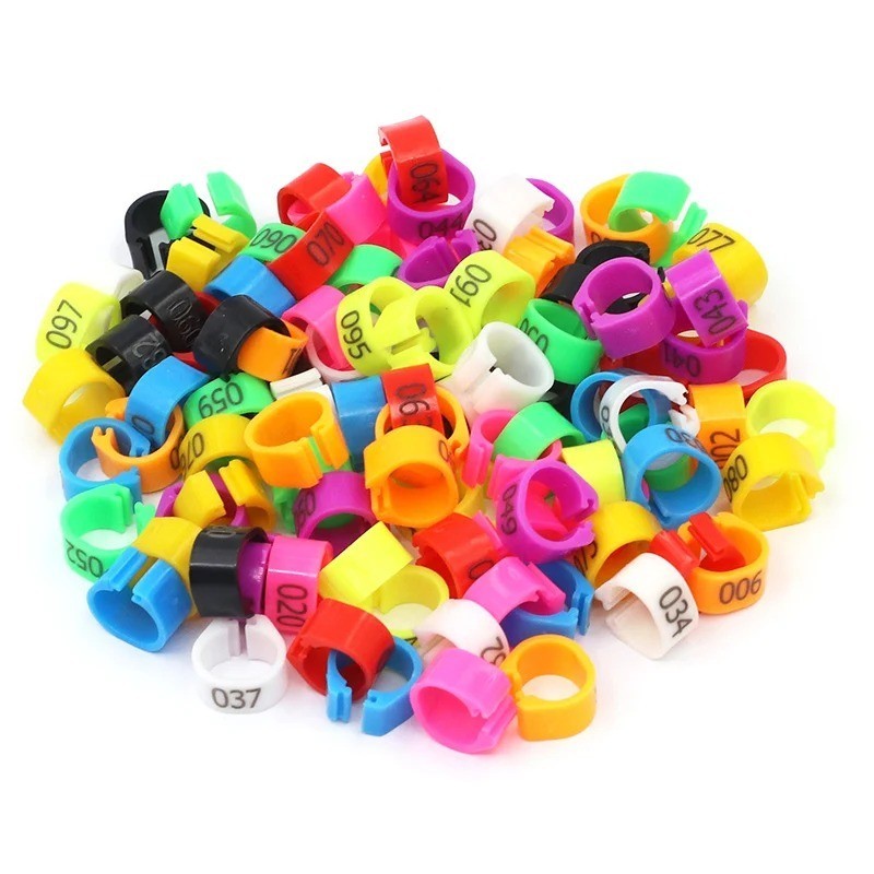 Chicken Pheasant Poultry Duck Bird Leg Bands, 100pcs Plastic...