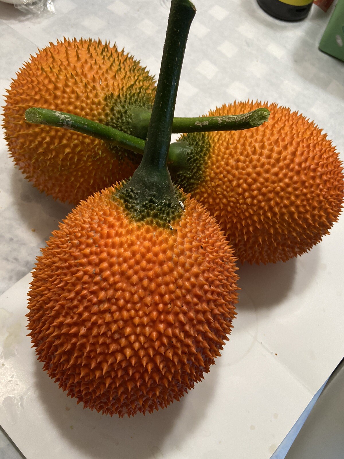 GAC Fruit Momordica Cochinchinensis Melon Seeds