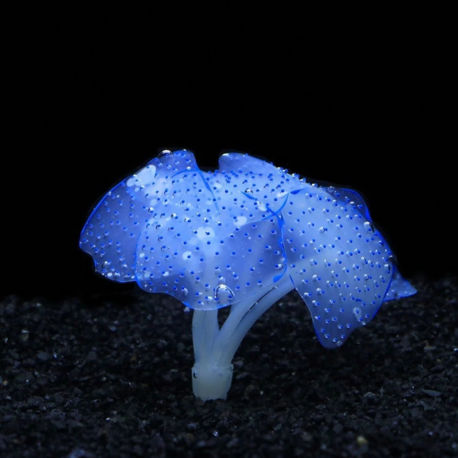 Silicone Coral Artificial Reef Ornaments for Aquarium Decor