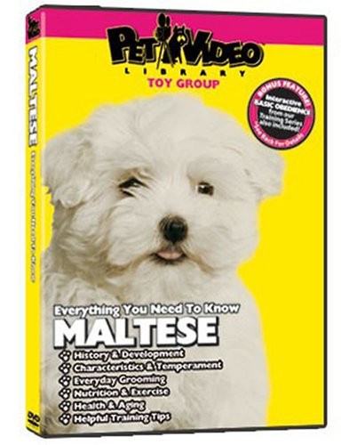Maltes Dog Training DVD Bundle