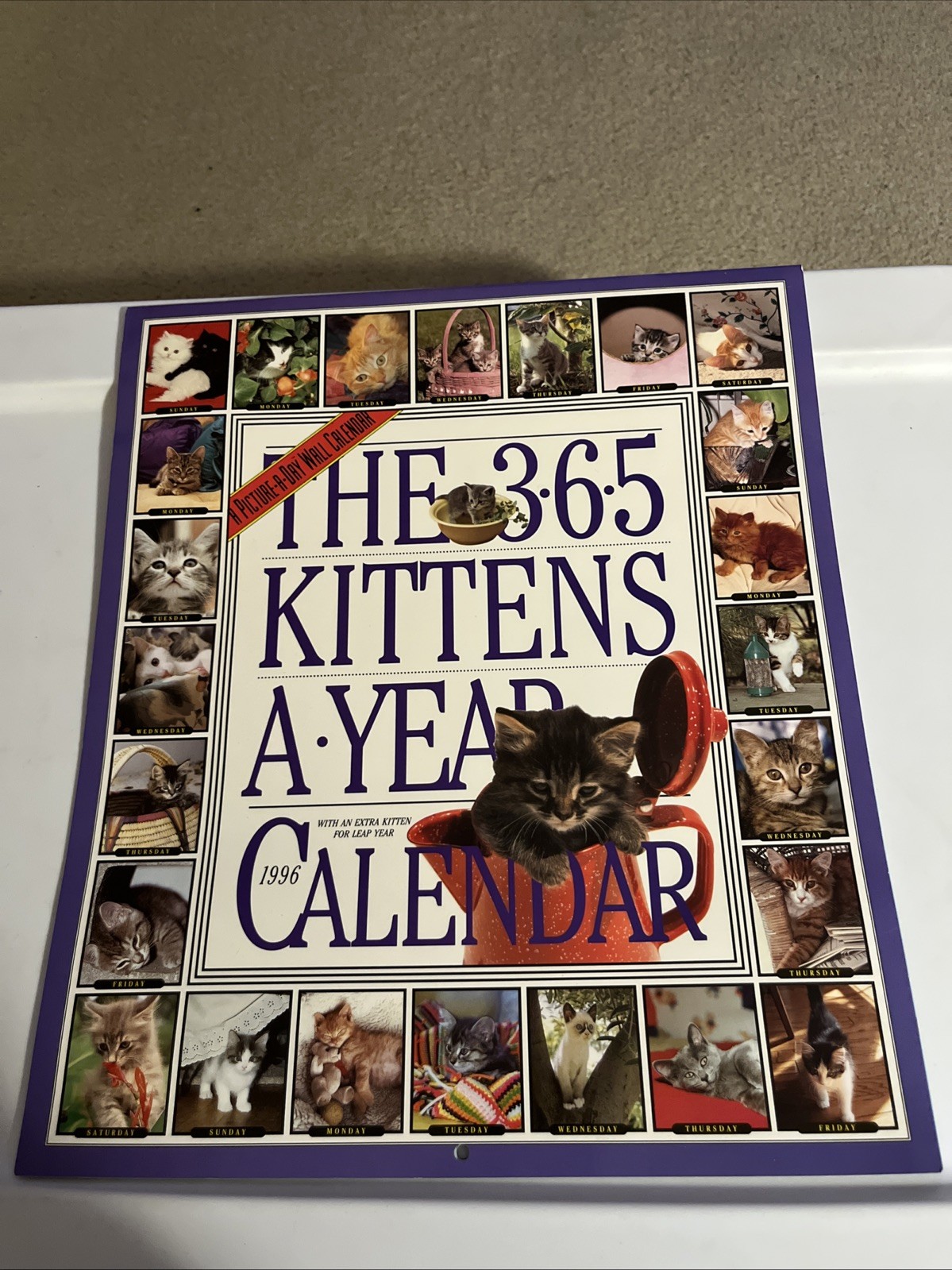 The 365 Kittens a Year Wall Calendar 11 x 12"