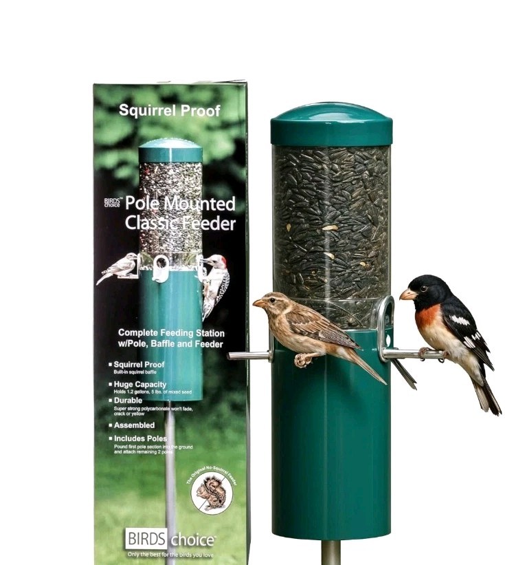 Birds Choice Classic Squirrel Proof Bird Feeder With Pole Mo...