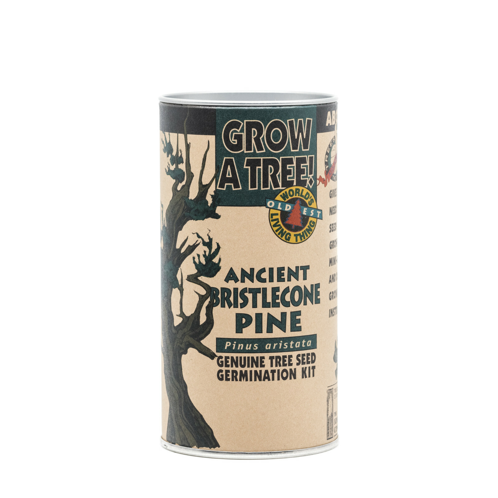 Ancient Bristlecone Pine Tree Seed Grow Kit | The Jonsteen C...