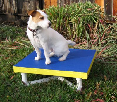 Dog Agility Mini Pause Table