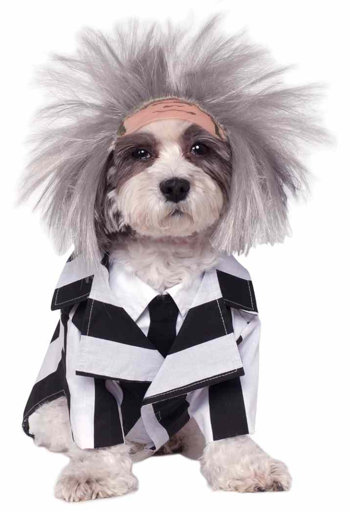 Beetlejuice Ghost Striped Dog Costume - Fancy Dress for Pets