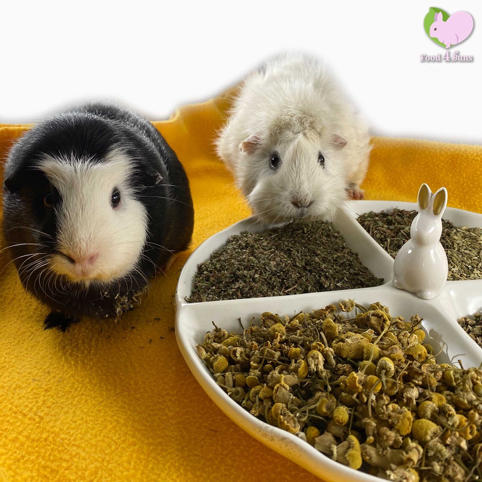 Picky Pigs Variety Mix: Bunny Rabbit, Guinea Pig, Chinchilla...