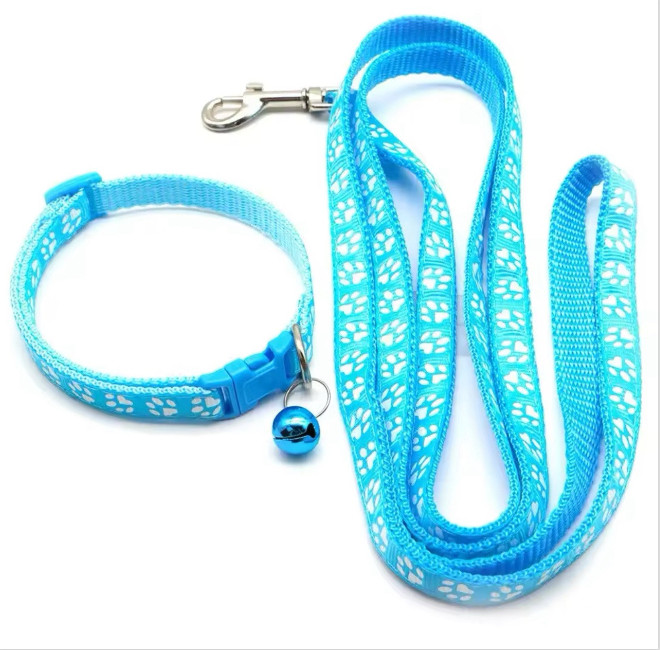 Adjustable Training Collar & Leash Set for Small Dogs (13" C...