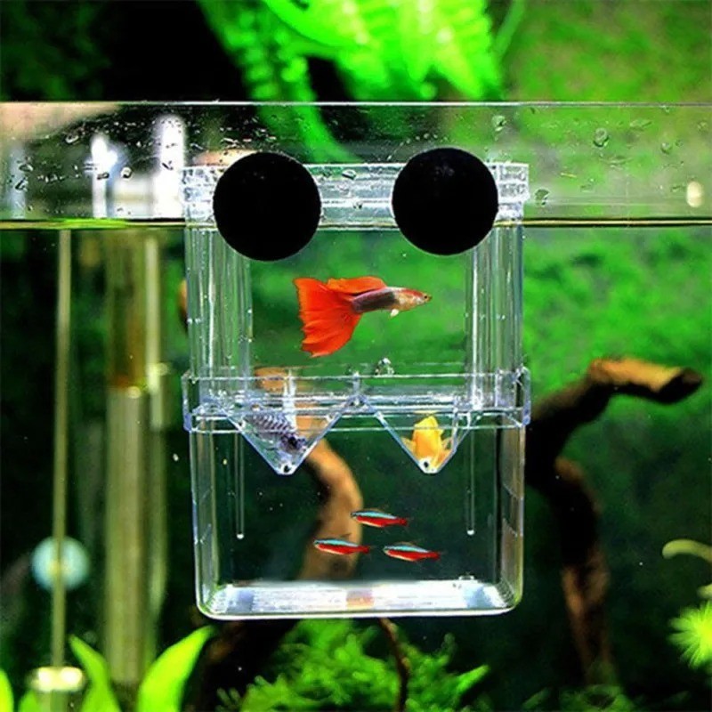 Multifunctional Fish Breeder Box Aquarium Guppy Hatching Inc...