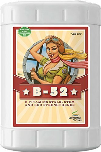 Advanced Nutrients B-52 Bloom Vitamins Enhancer