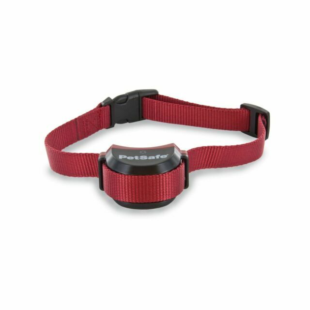 PetSafe Stubborn Dog Stay + Play Wireless Fence Receiver Col...