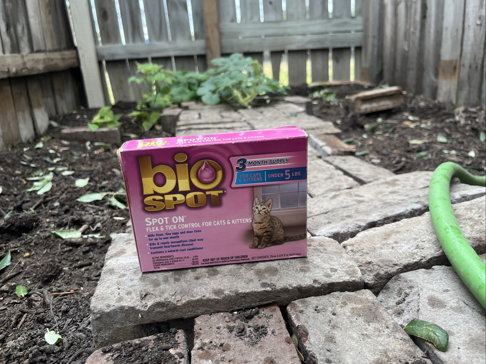 Bio Spot On Flea & Tick Drops for Cats Under 5 Lbs, 3 Month...