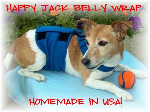 Happy Jack Best Dog Diaper, Original Non-Slip Belly Wrap Ban...