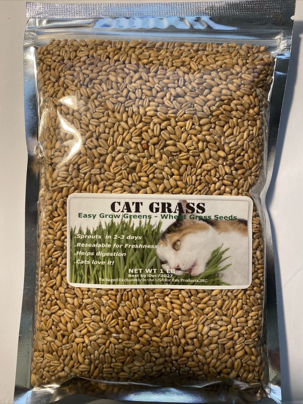 Cat Grass Wheat Seeds 1LB (13, 500+ Seeds) - Grow Your Own P...