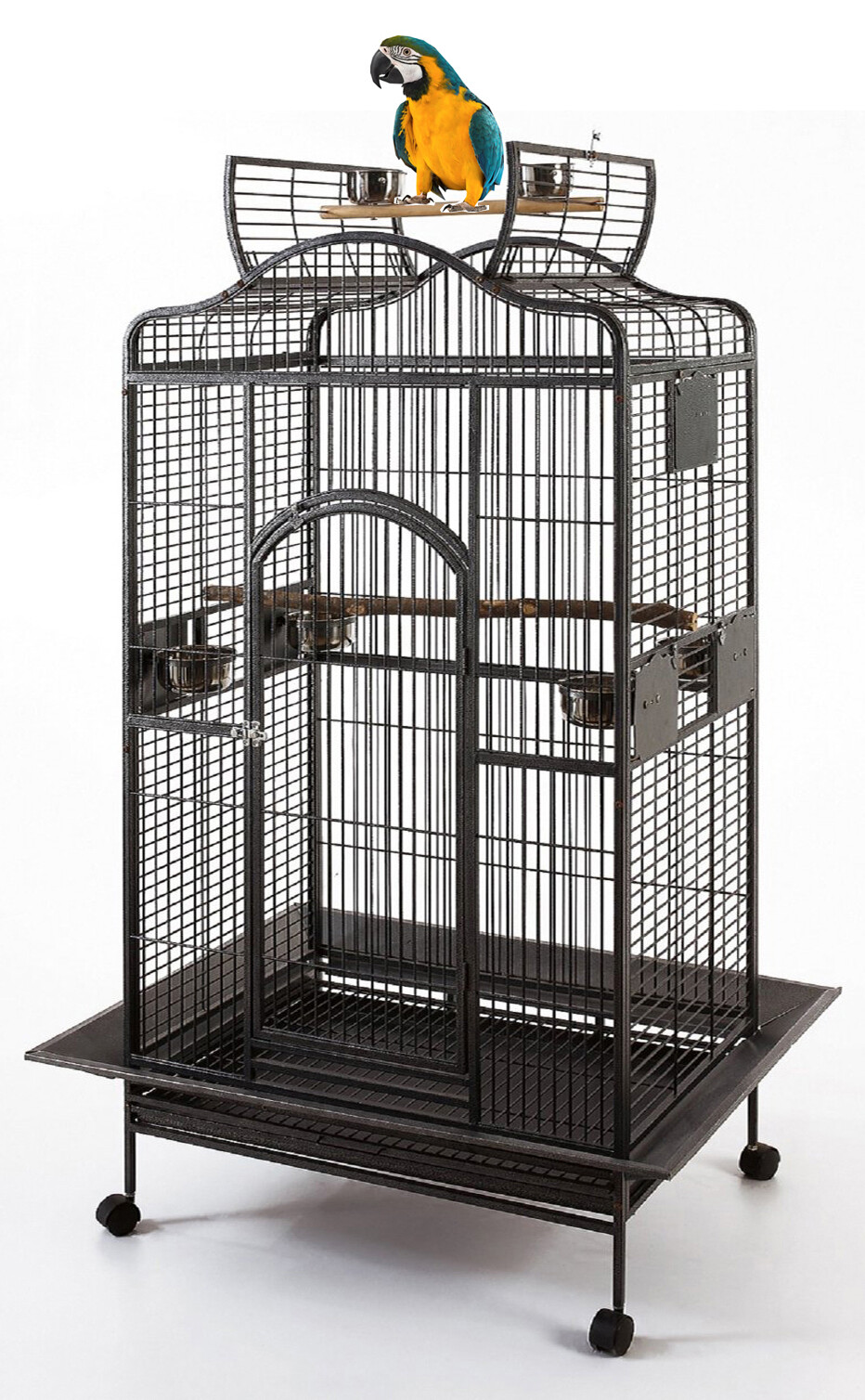 X-Large 63" Bird Parrot Open Play Top Cockatiel Macaw Green...