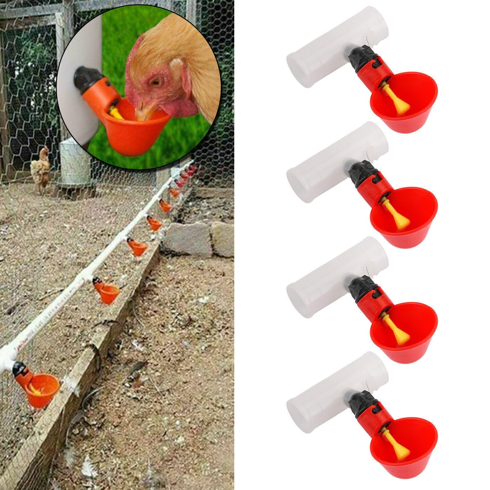 Automatic Poultry Chicken Waterer Drinking Cups, 4-Pack