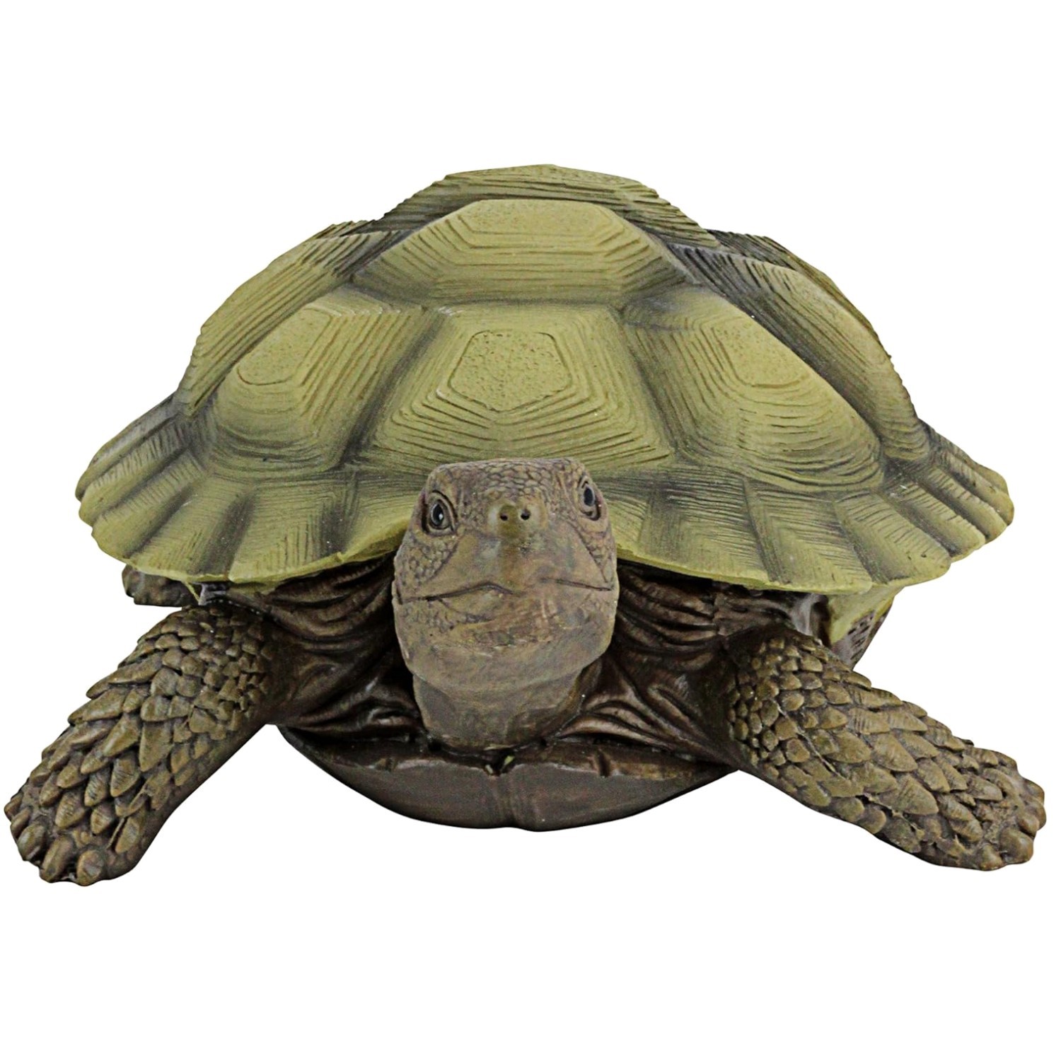 Gilbert the Box Turtle Statue, 9" Outdoor Decor