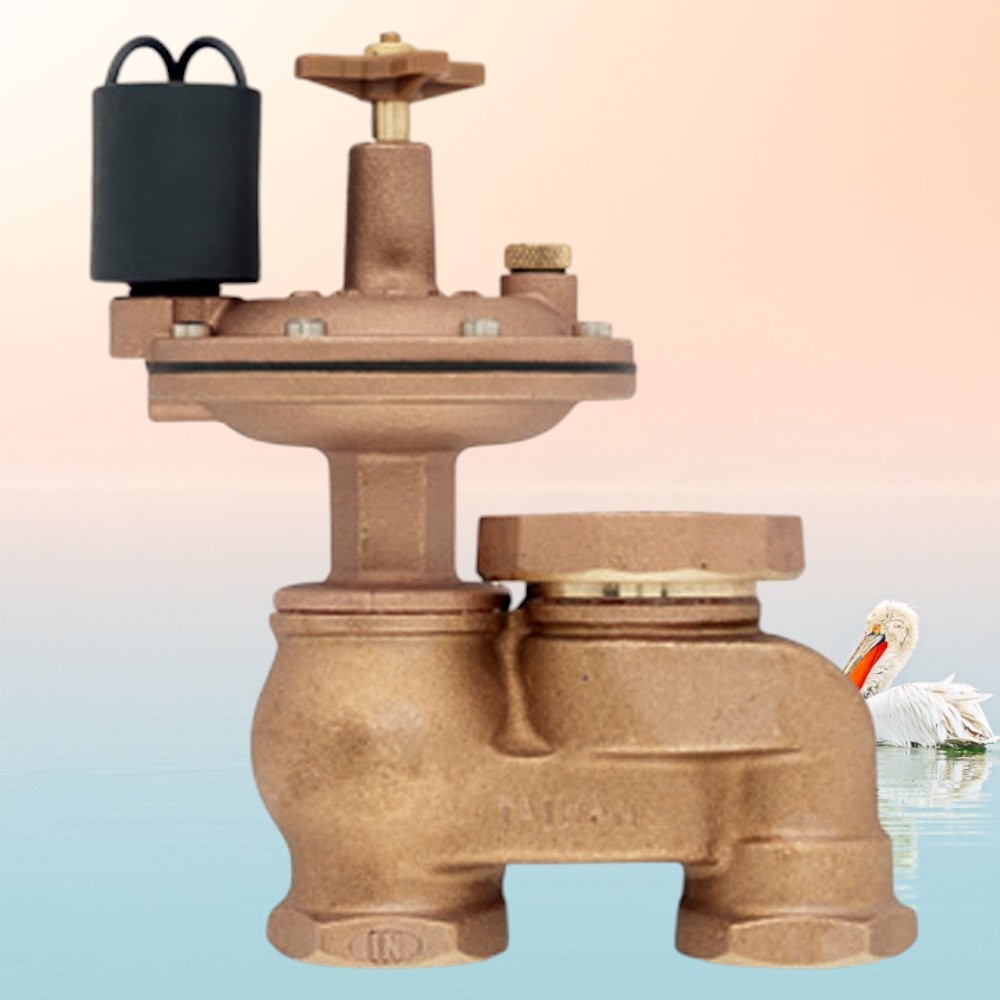 Orbit 57065 Brass Anti-Siphon Valve FPT Automatic Flow Contr...