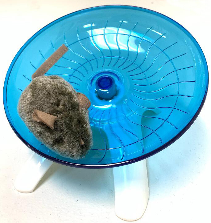 Hamster Exercise Wheel - Flying Saucer Design | Running & Sp...
