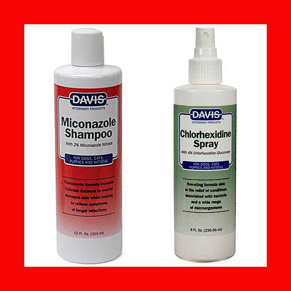 Davis Medicated Shampoo 12 oz + Chlorhexidine Spray 8 oz