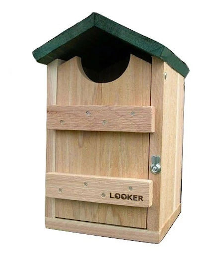 Screech Owl House by Songbird Essentials