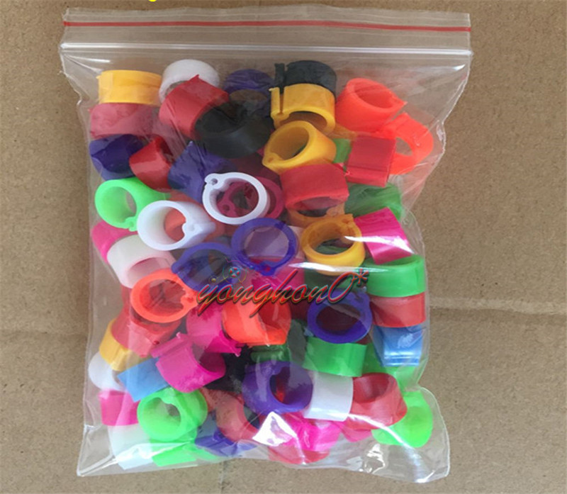 Bird Leg Bands 8mm Pigeon Chicken Parrot Bantam Poultry Ring...