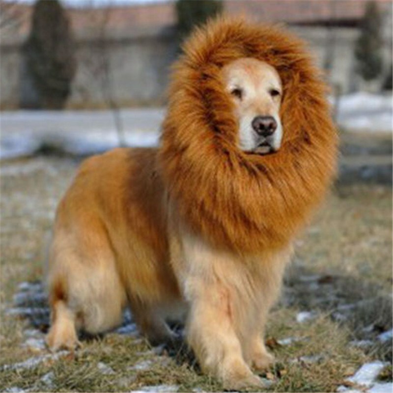 Pet Costume Lion Mane Wig for Dog & Cat - Fancy Dress Up Hea...