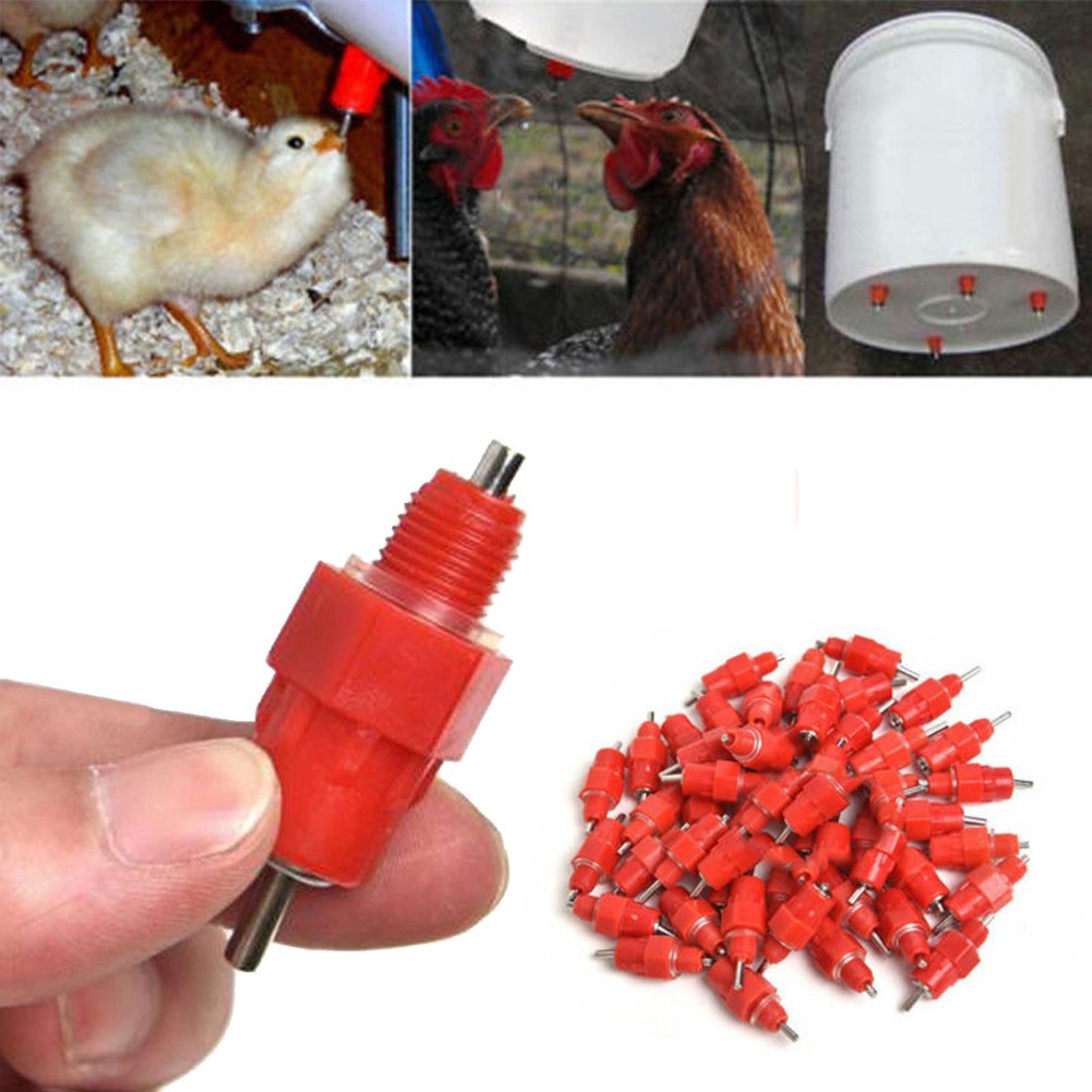 Water Nipple Drinker Chicken Feeder Poultry Duck Hen Screw-I...