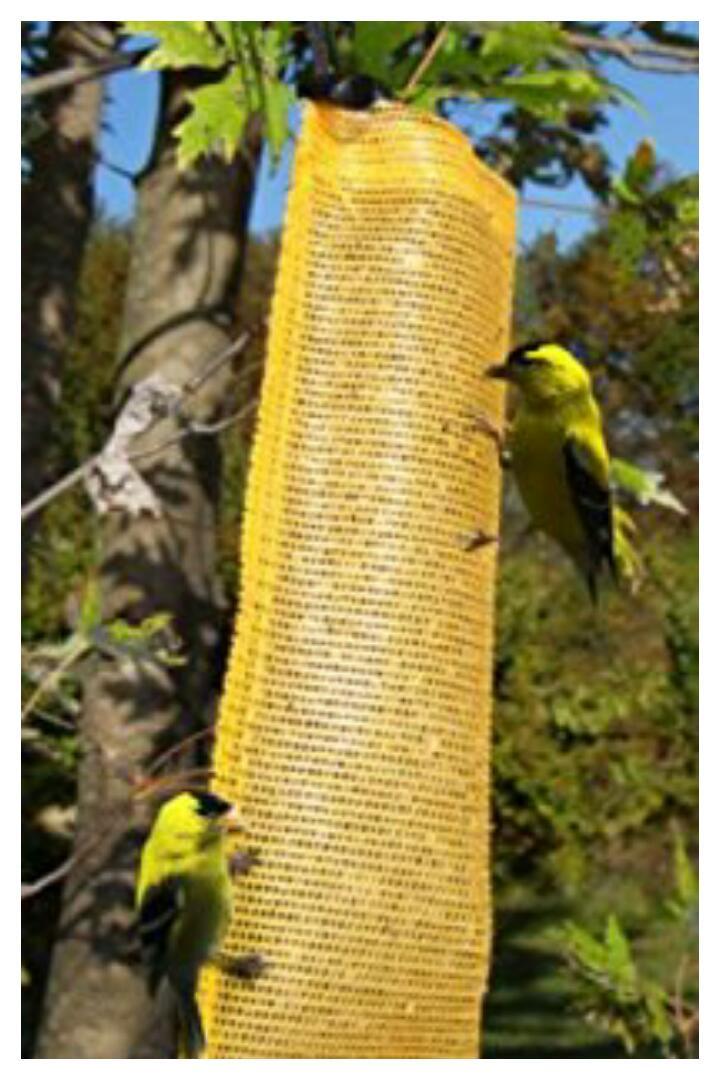 SongBird Essentials Finch Magic Thistle Sock Gold SE636 for...