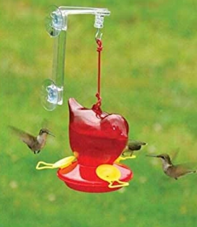 Window Hummingbird Feeder With Hanger by Songbird Essentials