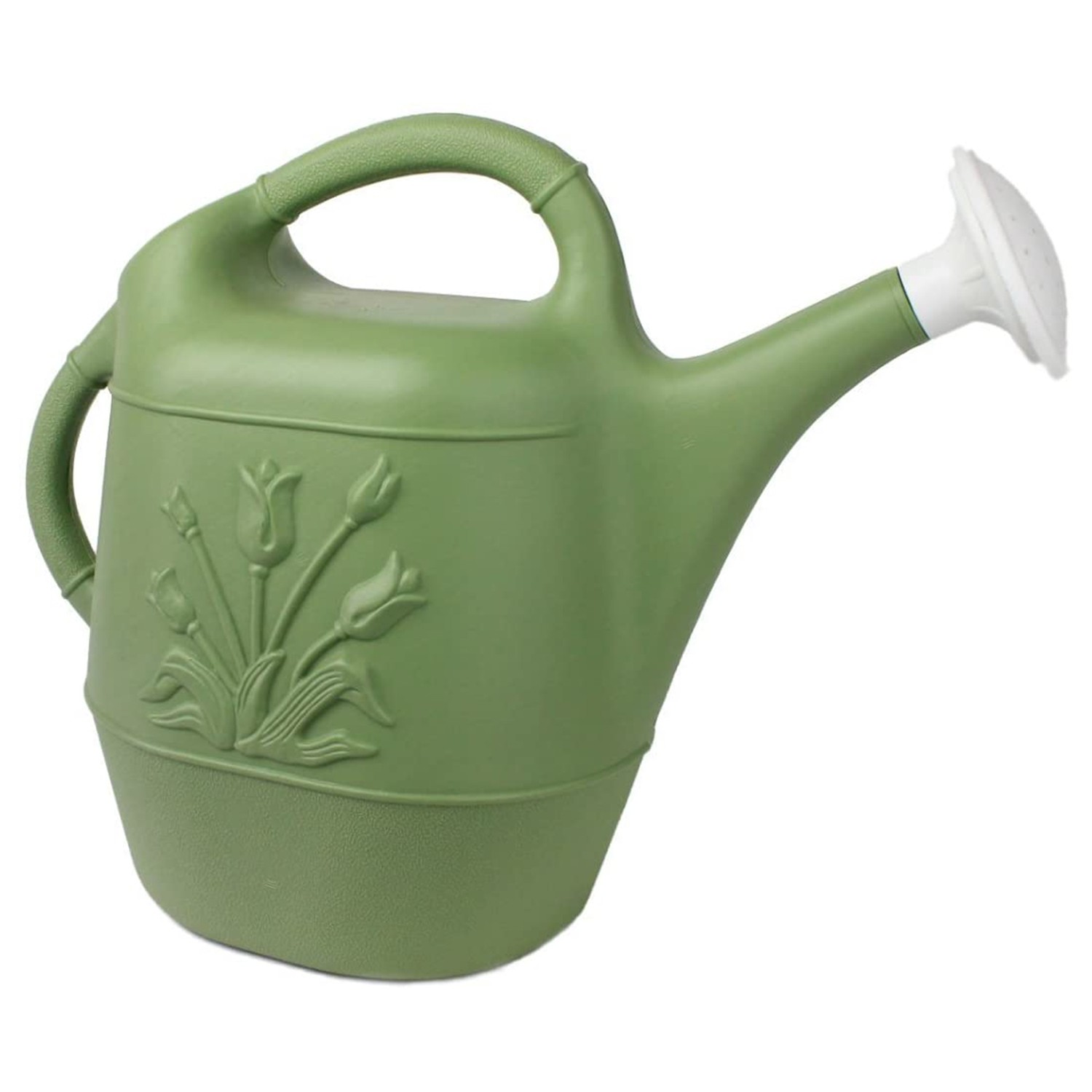 Union Products Sage Green 2 Gallon Garden Watering Can