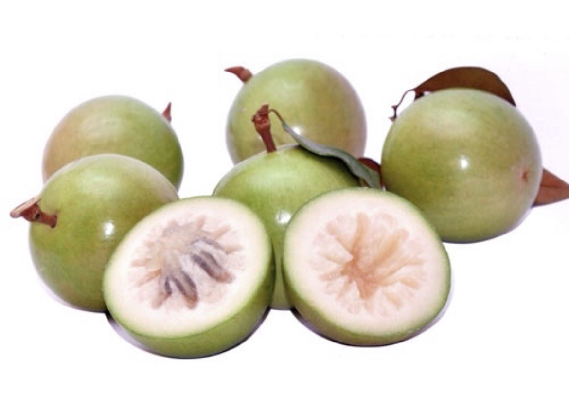 Star Apple, Chrysophyllum Cainito, 5 Seeds, USA