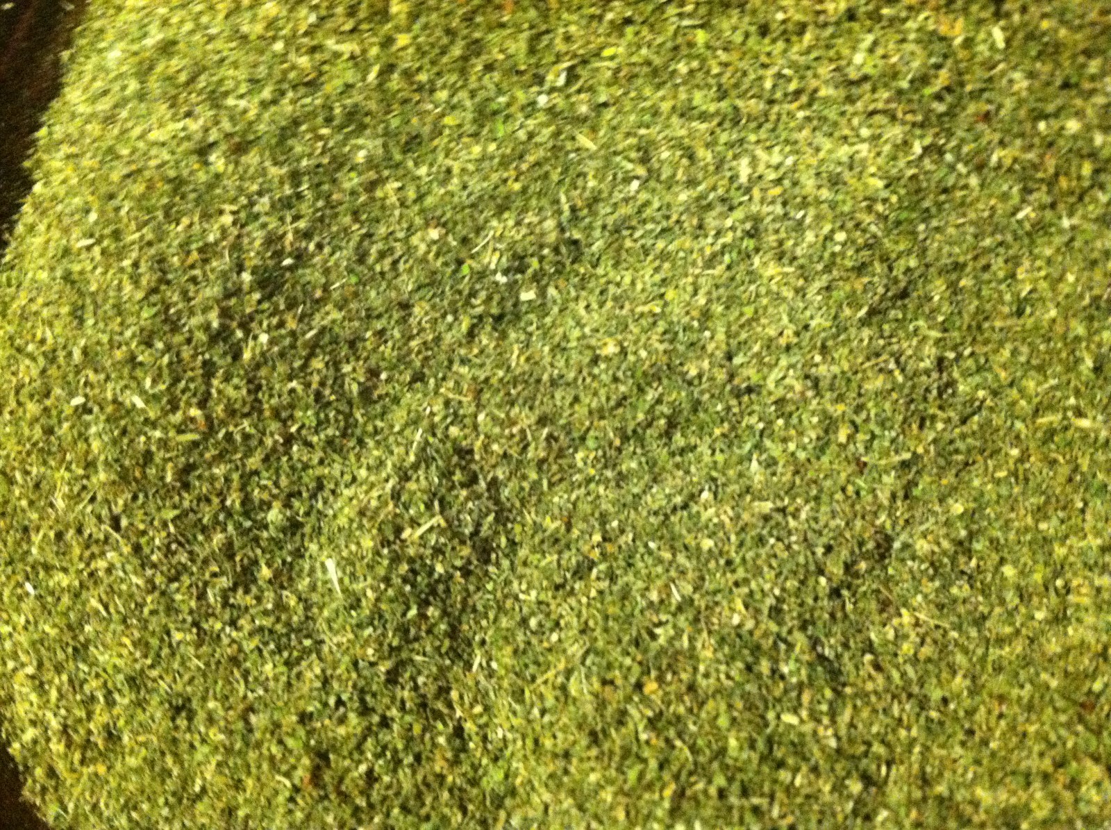 Catnip Bulk, 2026 Crop, Dried