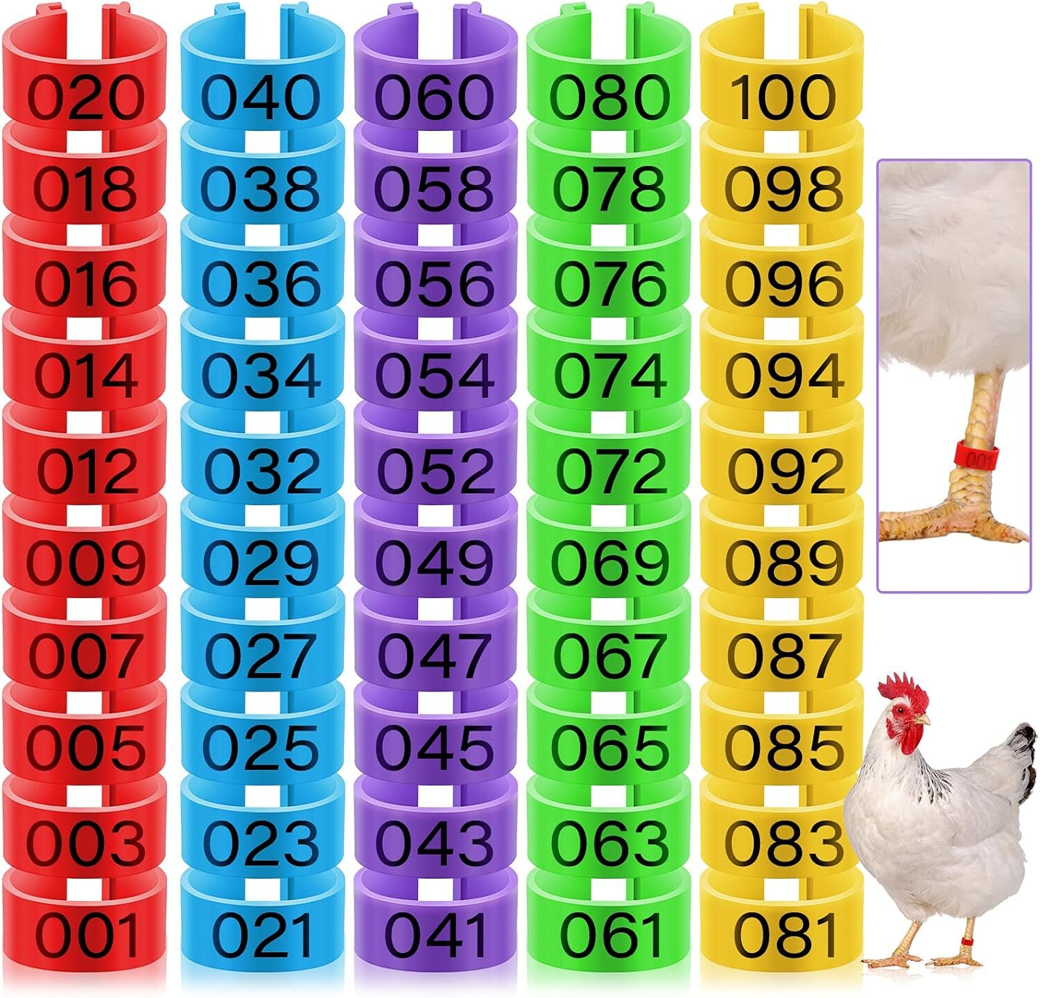Chicken Leg Rings 5 Colors Chicken Leg Bands Colorful 100 Pi...