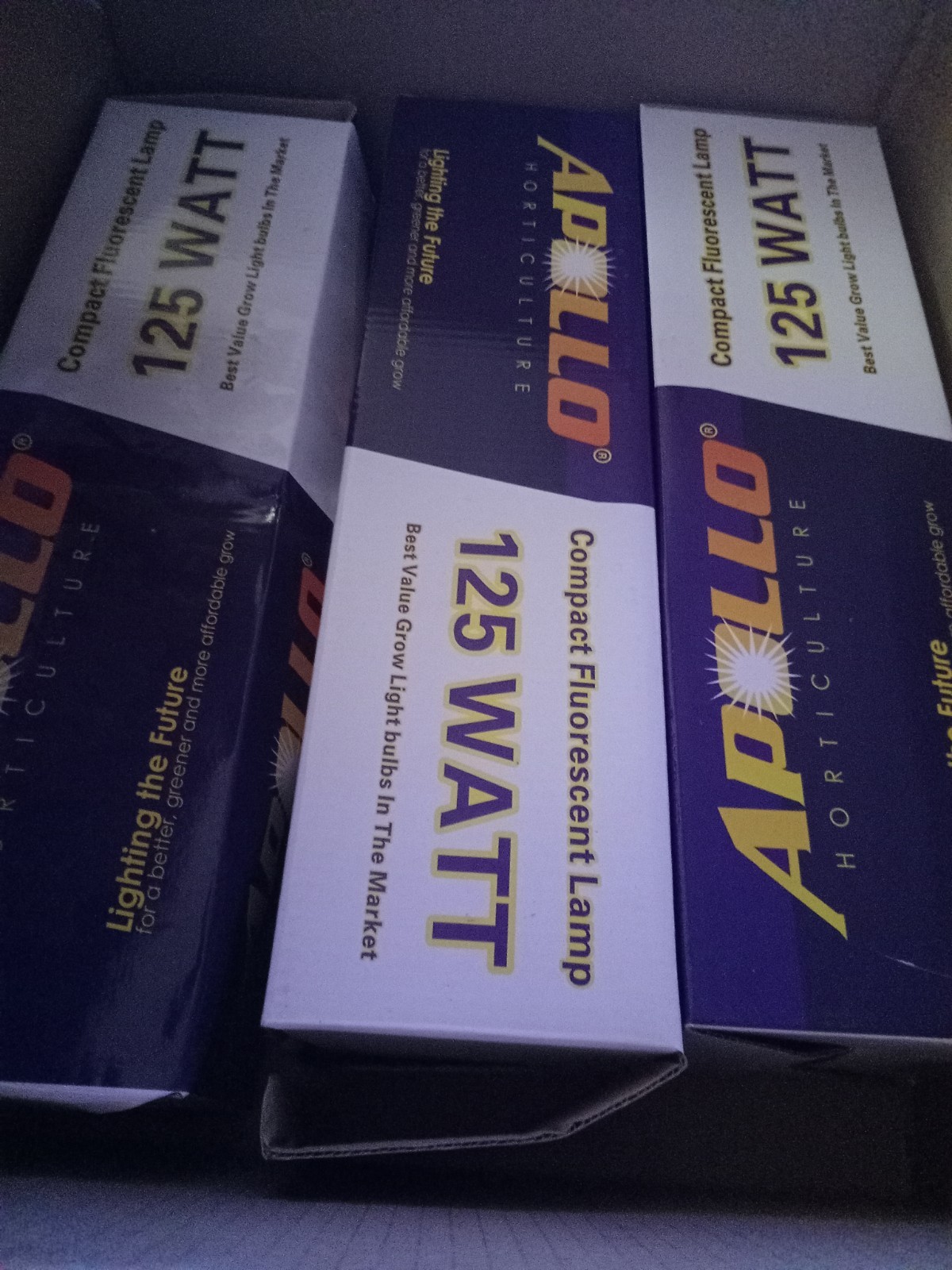 Apollo 125W Compact CFL Light Bulb