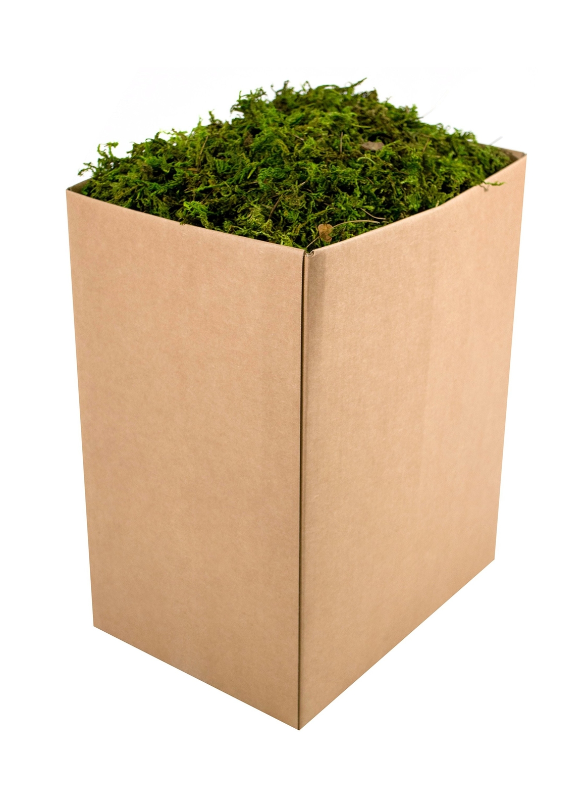 Supermoss 7 59834 25326 6 Moss, Appx. 5 Lb Bulk Case, Fresh...