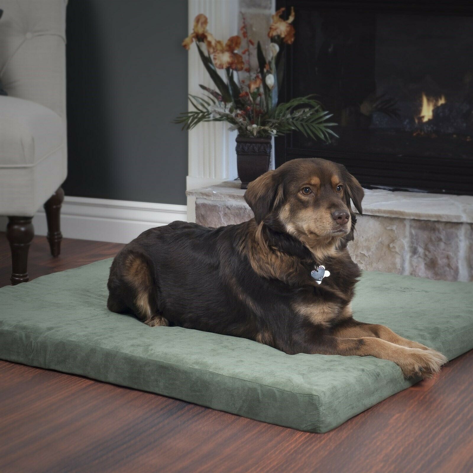 Jumbo 35 x 44 x 3-Inch Orthopedic Foam Pet Bed with Washable...
