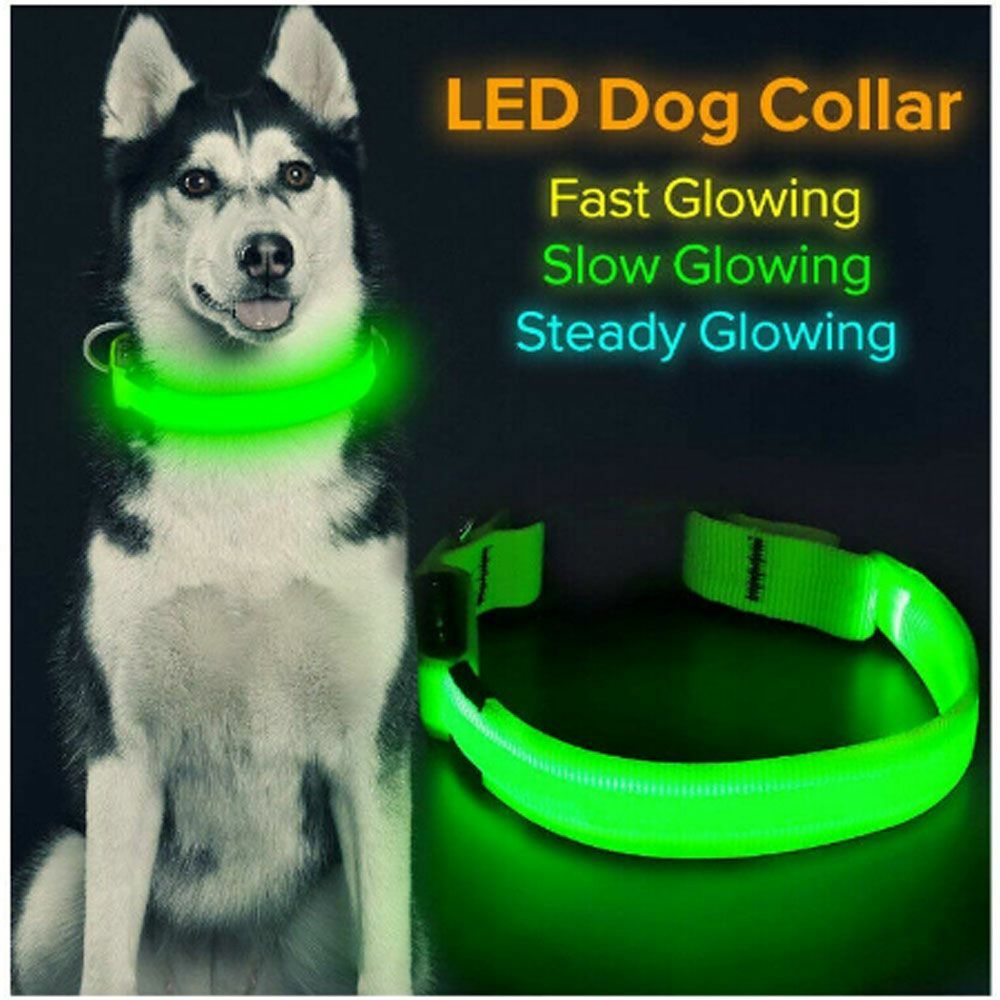 LED Light Up Dog Collar - Adjustable Nylon, Bright Flashing