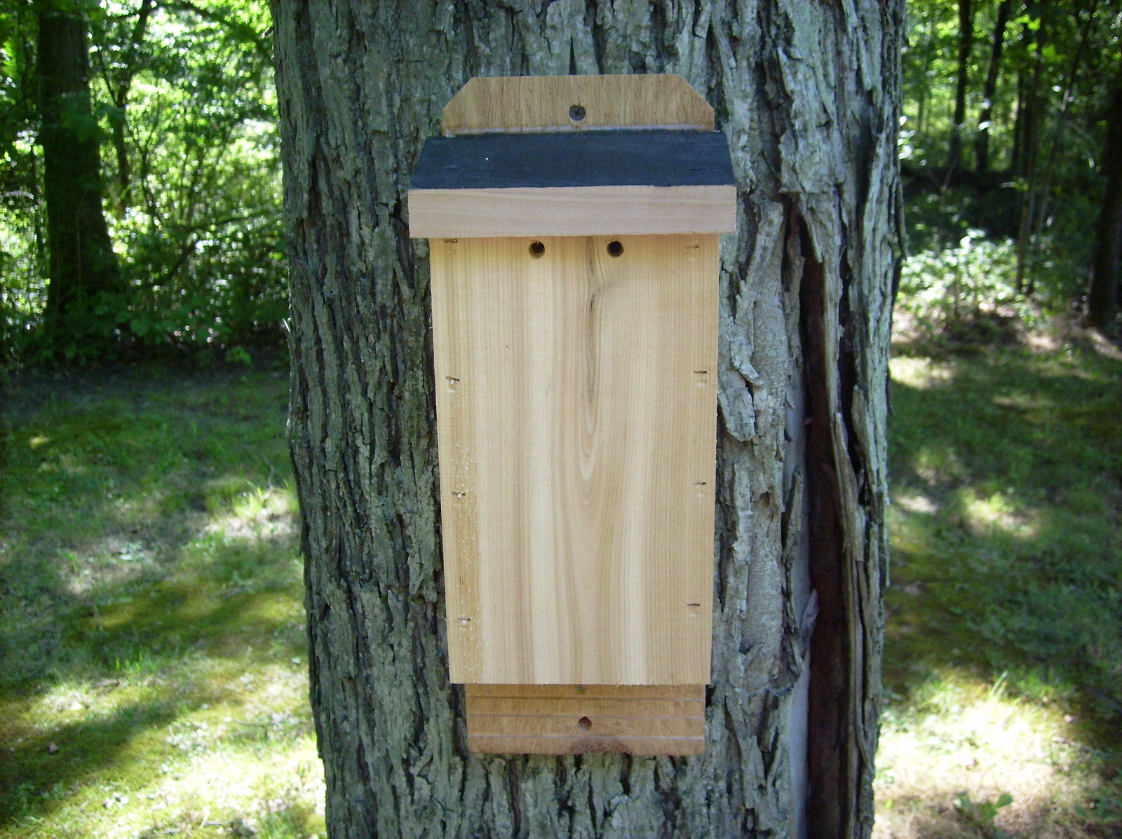 Cedar Bat House Handmade Solid 7/8" Rough Sawn Red Cedar