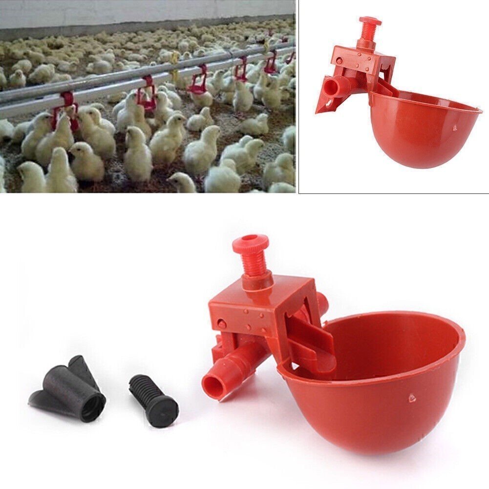 Poultry Water Drinking Cups, 5 Pack - Plastic Automatic Chic...