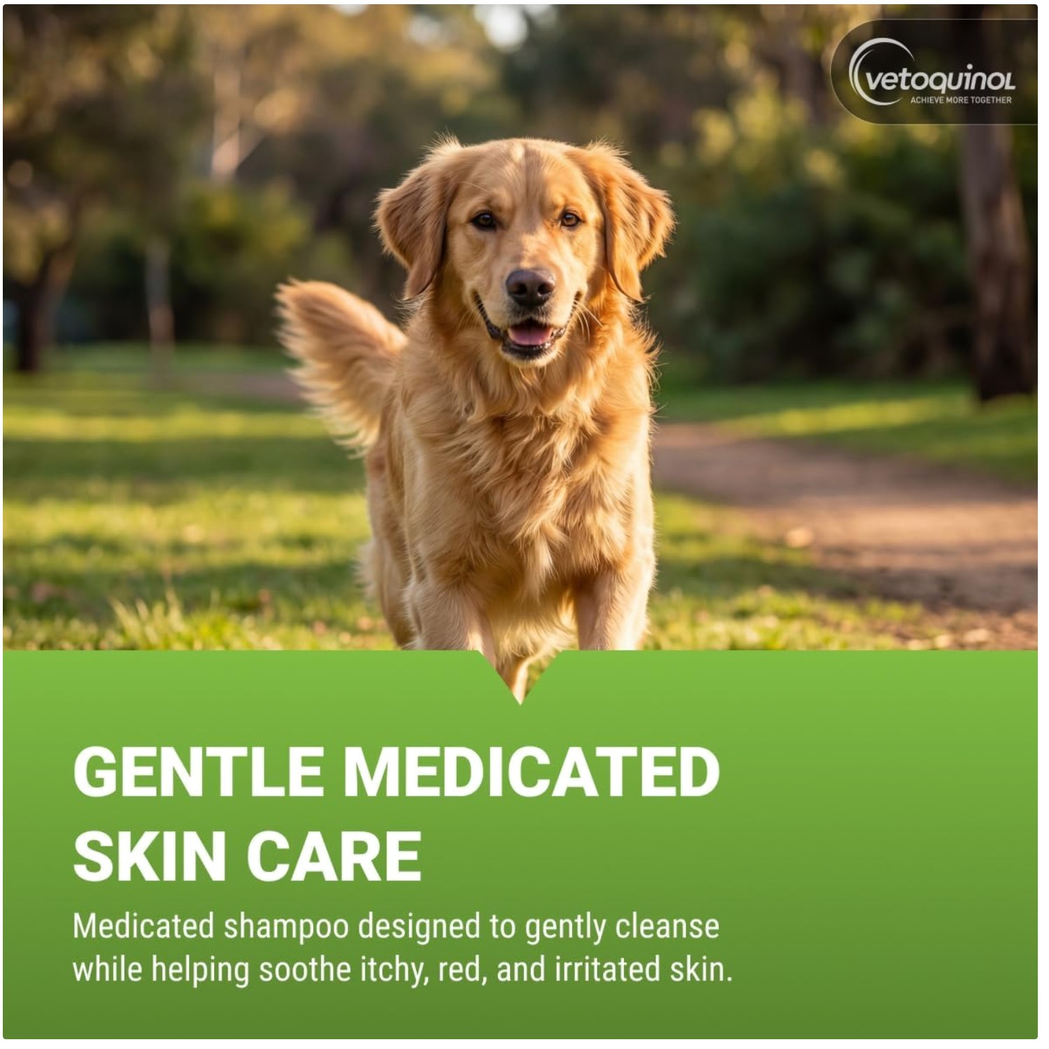 Universal Medicated Shampoo for Pets - 16 oz