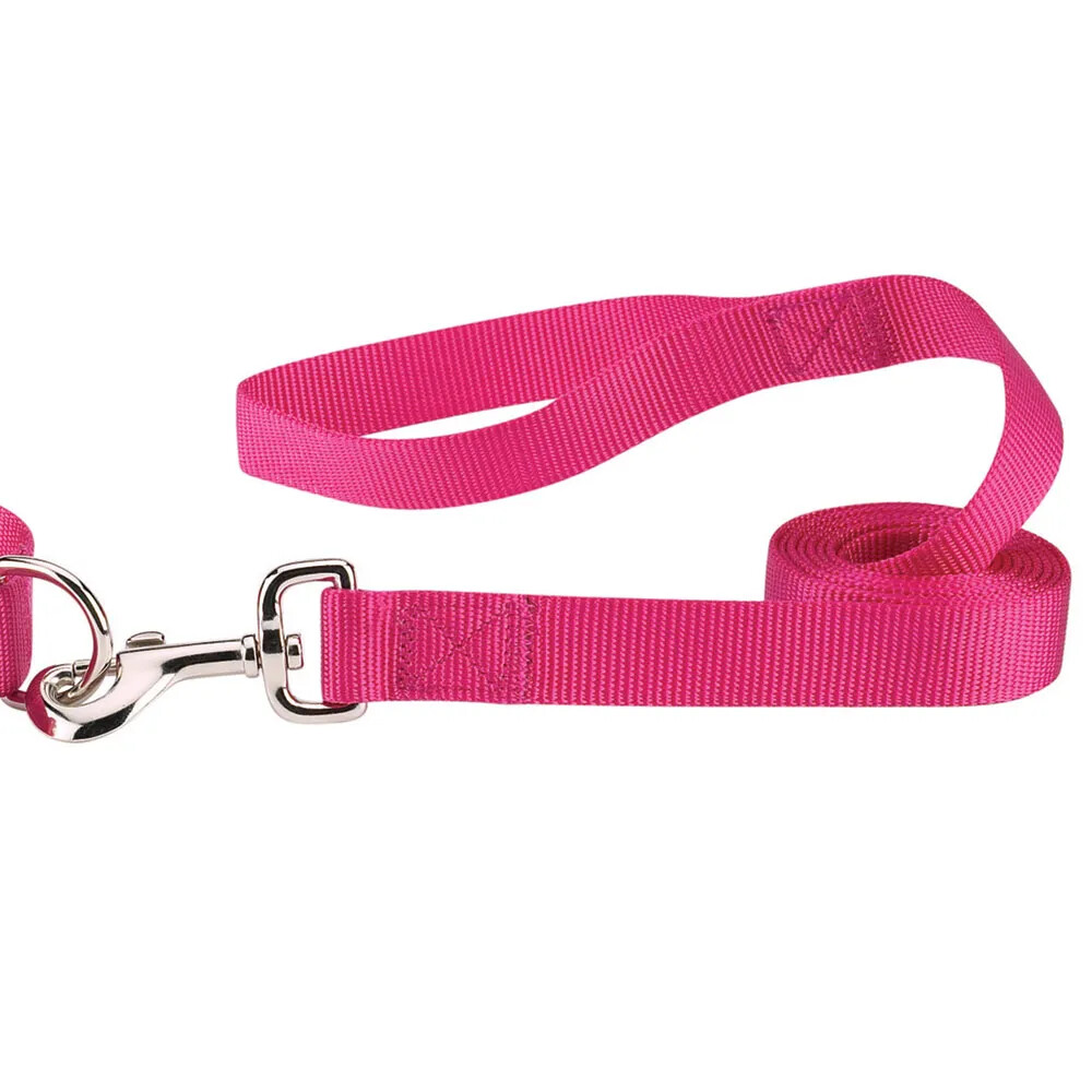 Zack & Zoey Nylon Dog Lead - Multiple Sizes, Various Colors
