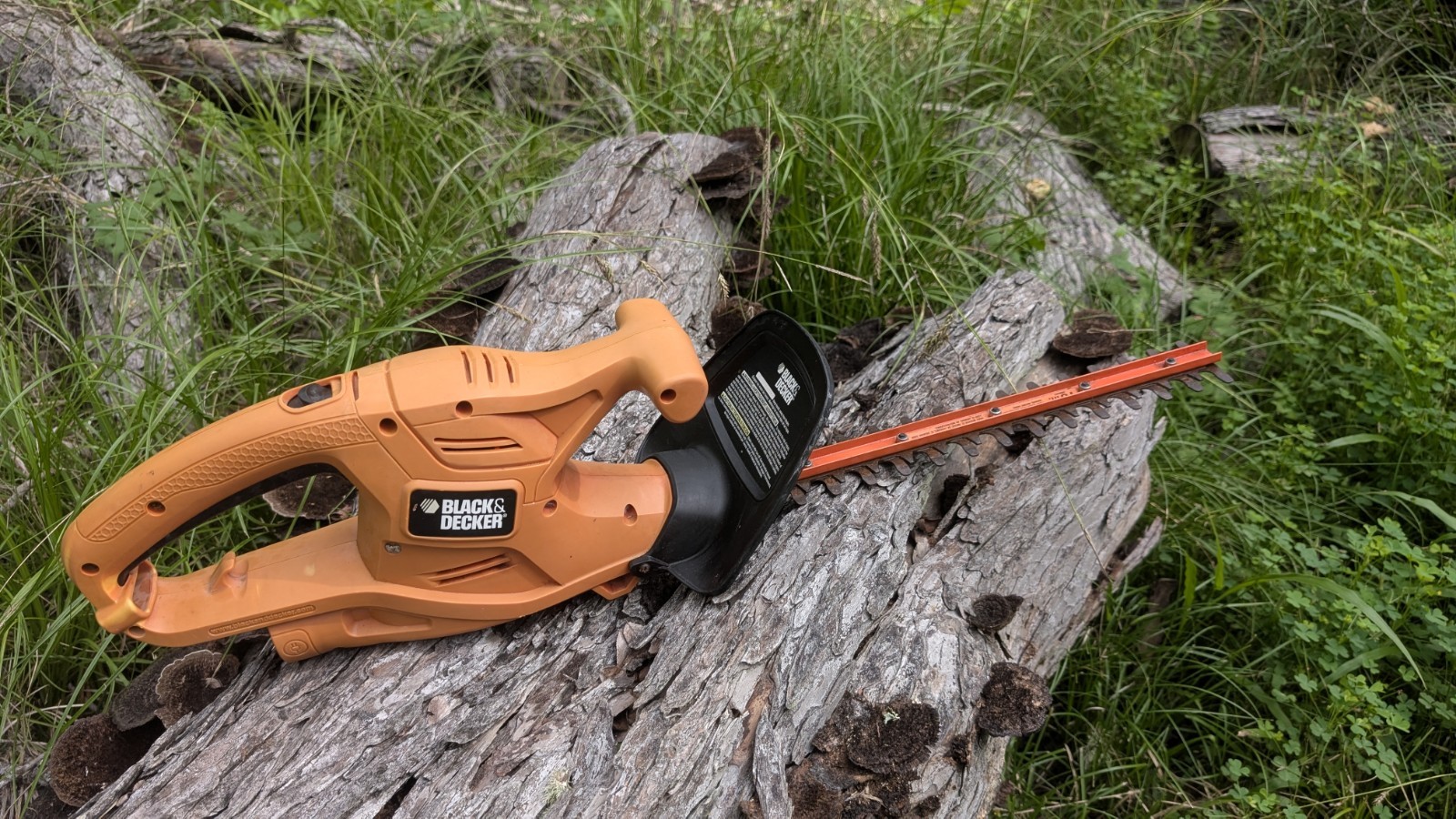 Black & Decker TR116 Hedge Trimmer 16-Inch Corded Orange