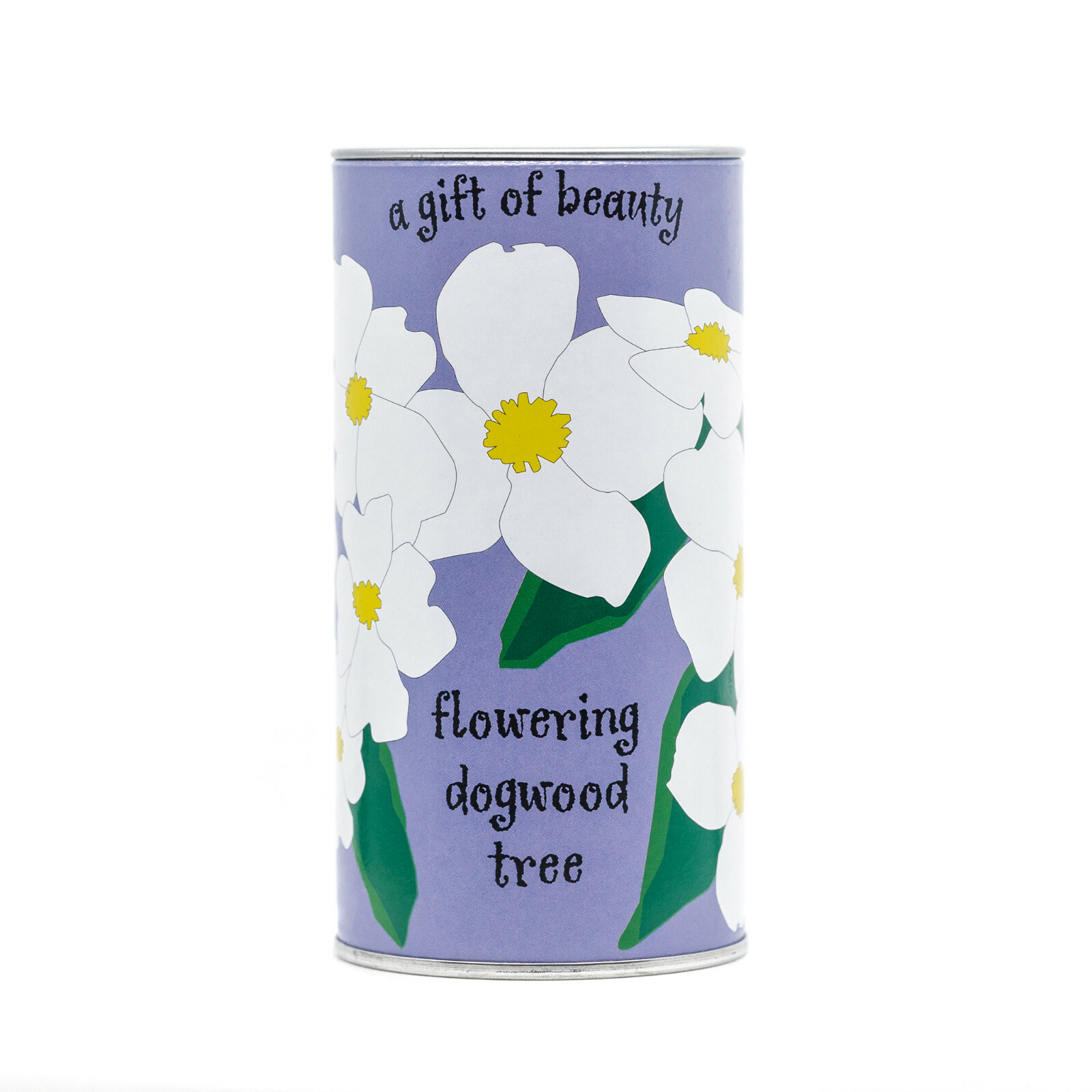 Flowering Dogwood Tree Seed Grow Kit - The Jonsteen Company