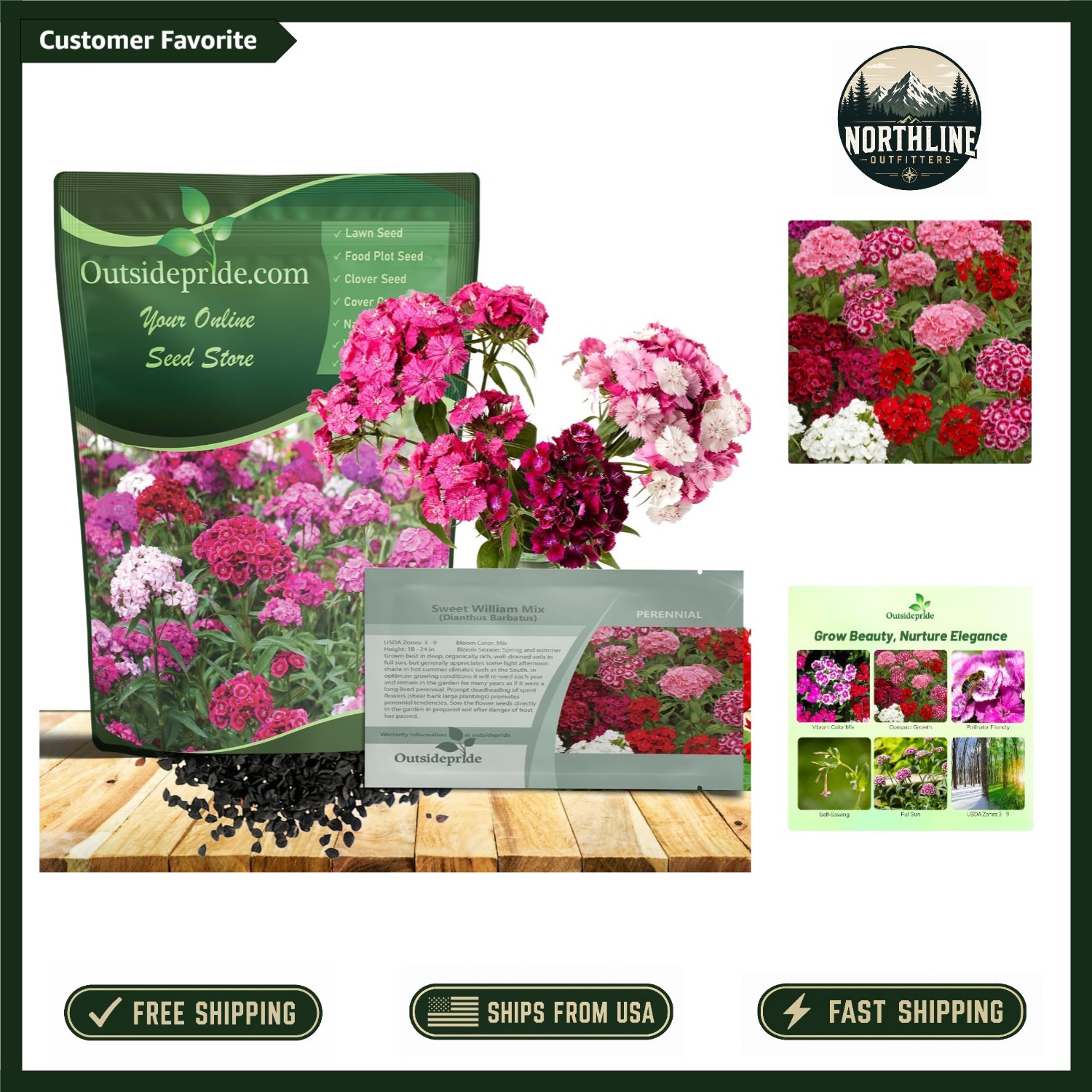 Sweet William Dianthus Seeds - 1/4 lb Fragrant Perennial Blo...